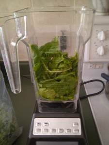 Blender greens