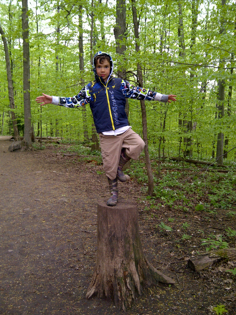 Tree on a tree