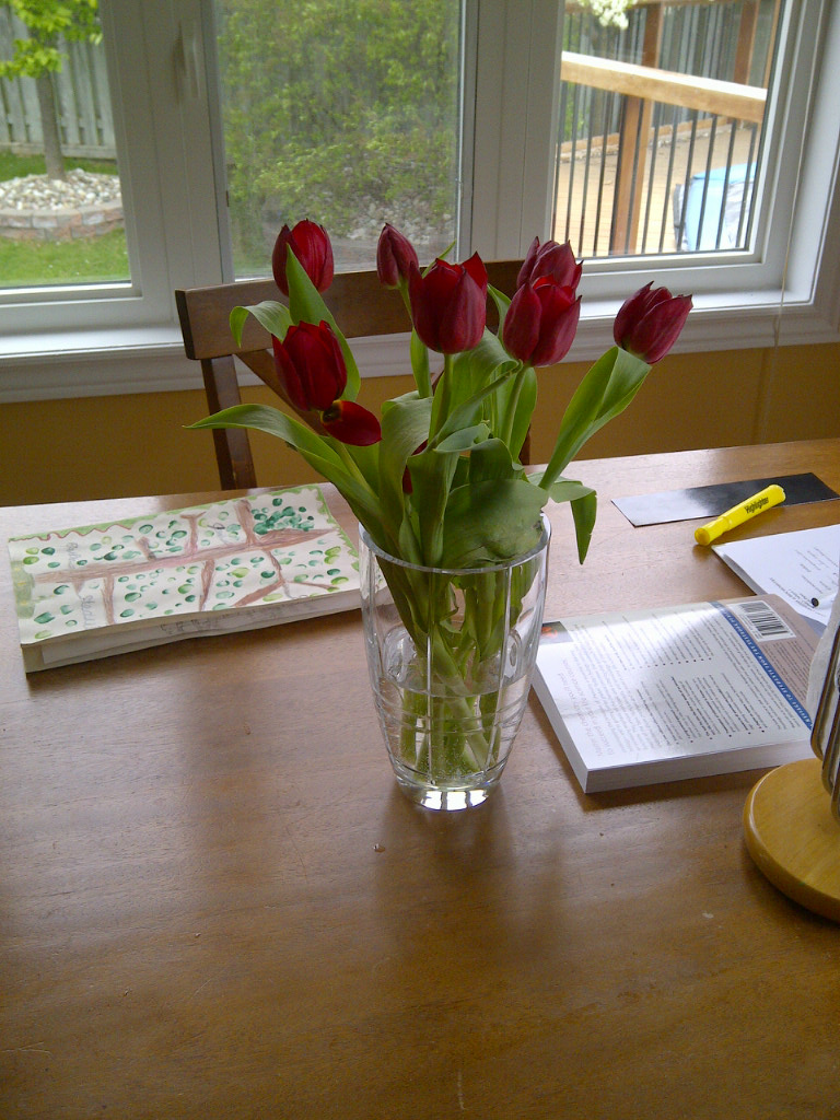 Tulips