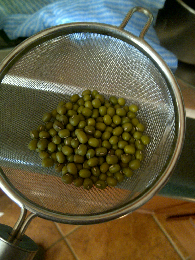 Sprouting mung beans