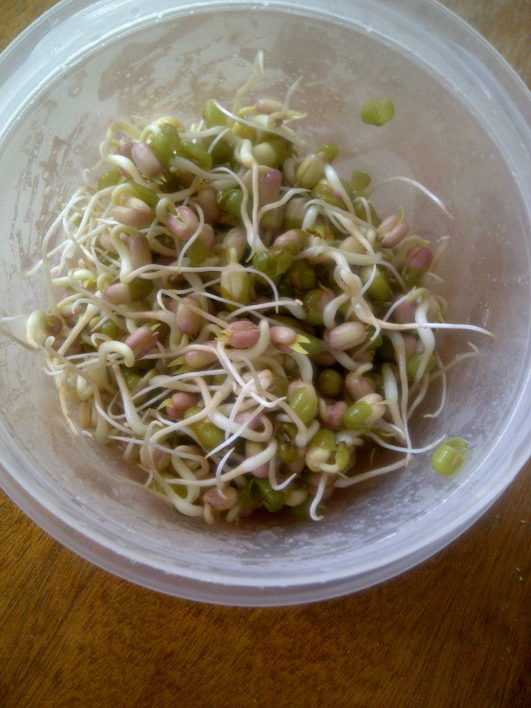 Mung bean sprouts