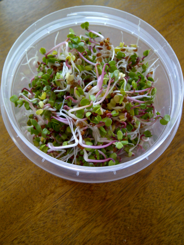 Radish sprouts